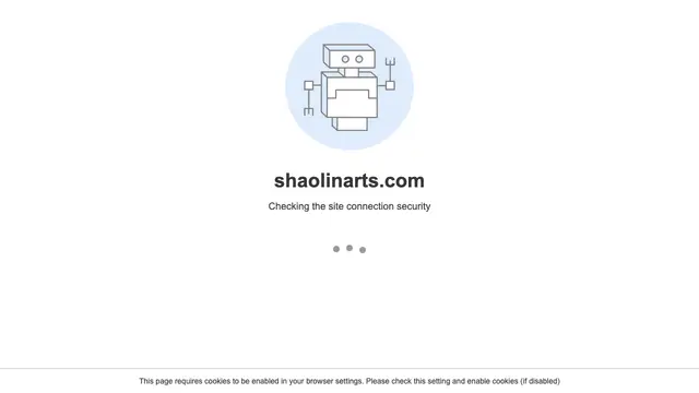Shaolin Arts Kung Fu and Tai Chi